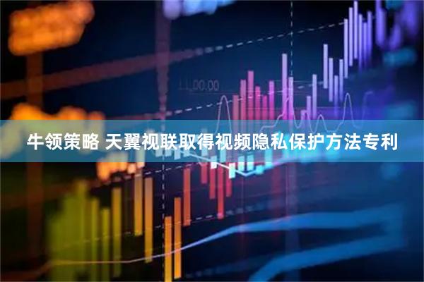 牛领策略 天翼视联取得视频隐私保护方法专利